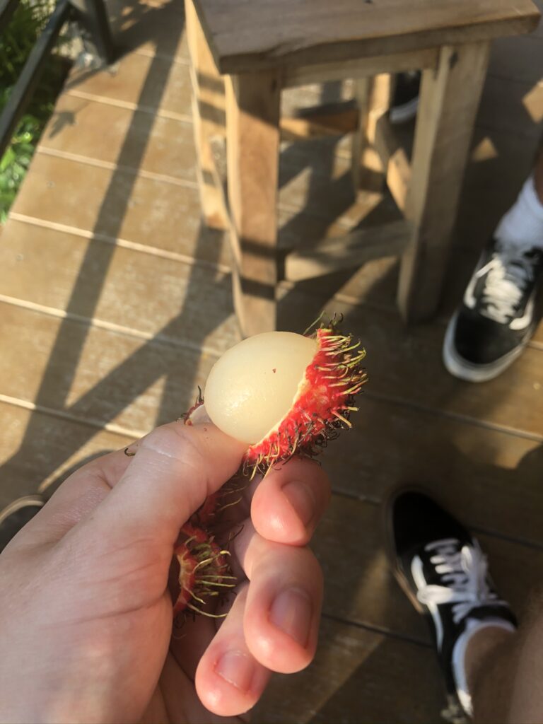 A picture of a half-peeled rambutan, a fruit I'd honestly never heard of before visiting Thailand