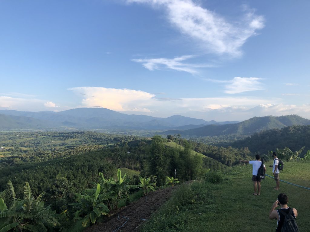 Rolling hills, rice fields, open blue skies and travellers overlooking Pai