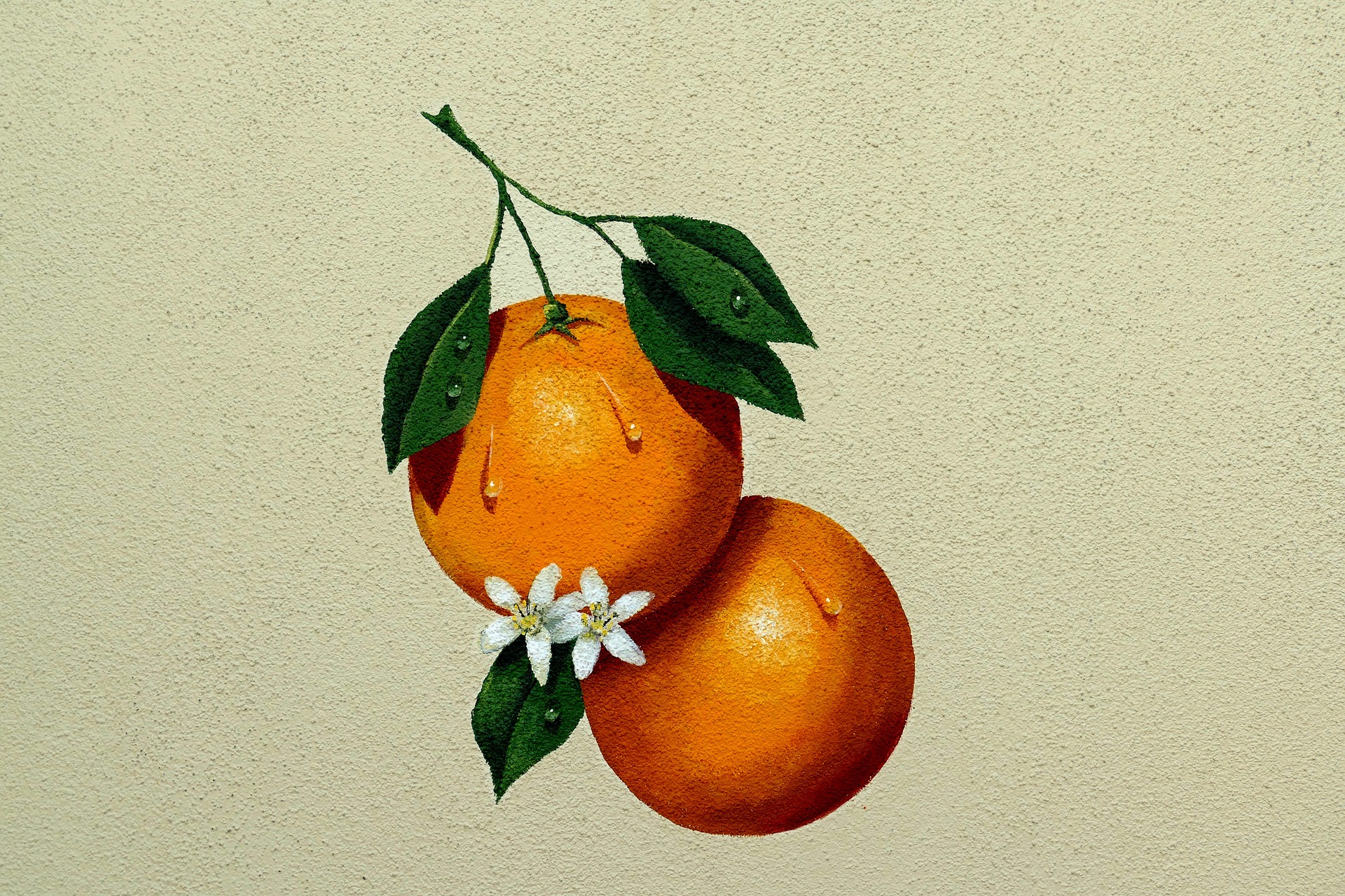 A painting of a tangerine
